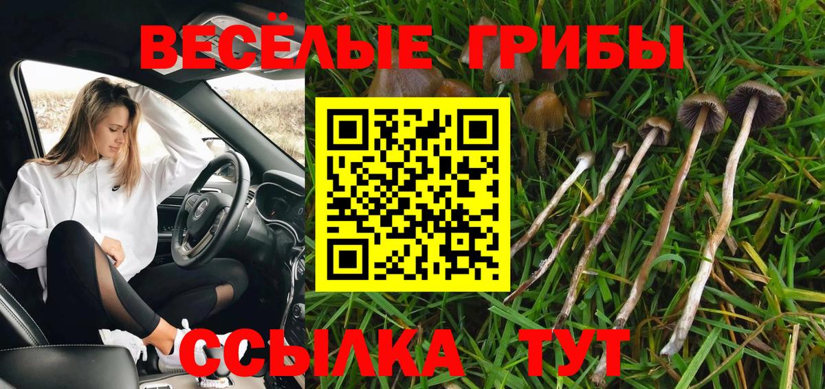 Галлюциногенные грибы GOLDEN TEACHER Краснокаменск